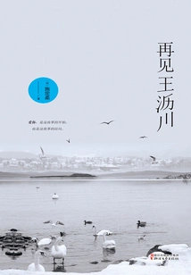 Goodbye Wang Lichuan (sequel to "once Upon a Time in Lichuan")