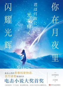 You Shine Brightly in the Moonlit Night