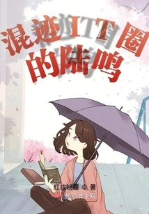 Lu Ming, Who is in the it Circle