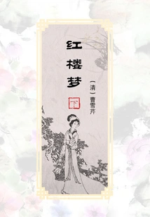 Dream of Red Mansions (part 2)