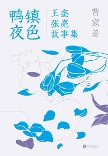 Night in Duck Town: a Collection of Stories by Wang Kui and Zhang Liang