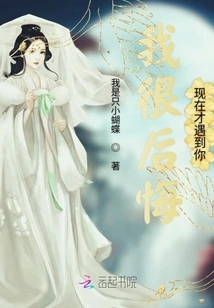 I Regret That I Only Met You Now