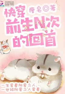 Quick Travel: Looking Back N Times in Past Lives