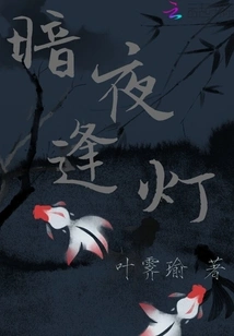 Light in the Dark Night