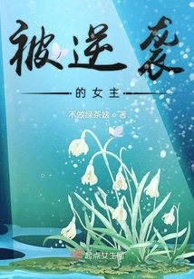 The Heroine Who Was Counterattacked