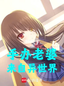 Figure Wife Comes from Another World