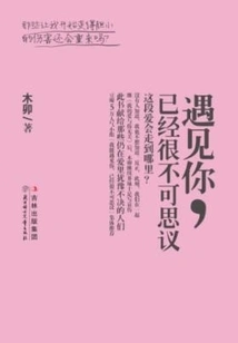 Meeting You Has Been Incredible