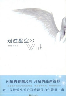 Wish Across the Starry Sky