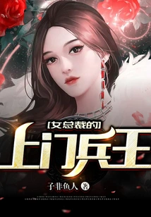 The Female Ceo's Door-to-door Soldier