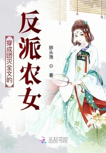 The Villain Peasant Girl Who Went into a Group and Destroyed the Whole Story