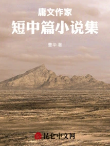 A Collection of Short Novellas by Mediocre Writers