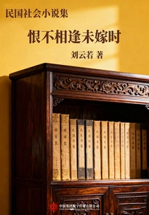 Collection of Social Novels of the Republic of China: I Hate Not Meeting Each Other When I Was Not Married
