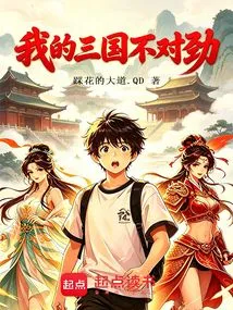 Something is Wrong with My Three Kingdoms