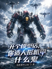 Open a Model Shop, Why Are You Making Humanoid Mechas?