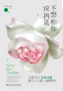 Don't Want to Say Goodbye to You