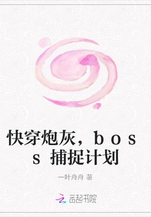 Quickly Travel Through Cannon Fodder, Boss Capture Plan