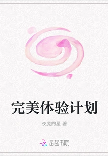 Perfect Experience Plan