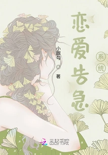 Love Emergency System