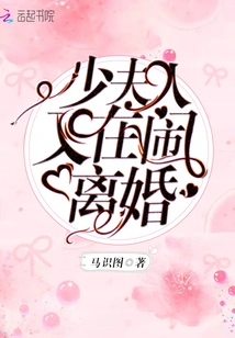 The Young Lady is Divorcing Again