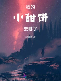 Where Have My Cookies Gone?