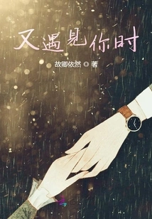 When I Meet You Again