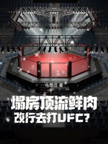 If the Roof Collapses and the Meat Leaks, Will You Change Your Career to Fight in the Ufc?