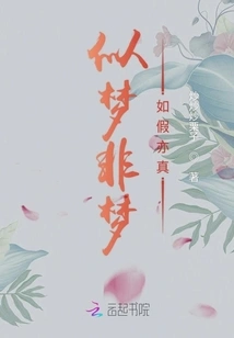 Like a Dream but Not a Dream, Even If it is False and True