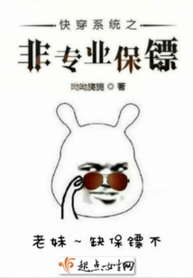 Quick Travel System Non-professional Bodyguards