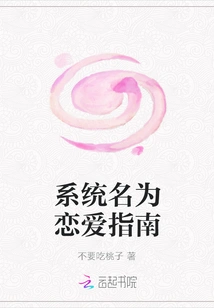 The System is Called Love Guide