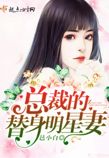 Ceo's Stand-in Celebrity Wife