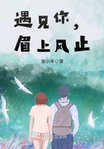 When I Meet You, the Wind Stops on My Eyebrows