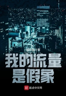 My Traffic is an Illusion