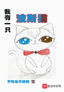 I Have a Persian Cat