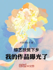 Variety Show for Poverty Alleviation and Rural Areas, My Work Was Exposed