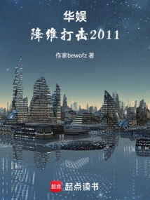 China Entertainment, Dimensionality Reduction Attack 2011