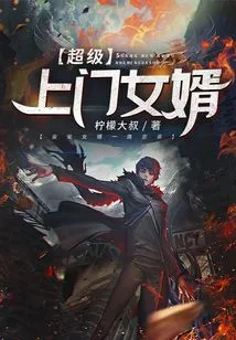 Super Door-to-door Son-in-law