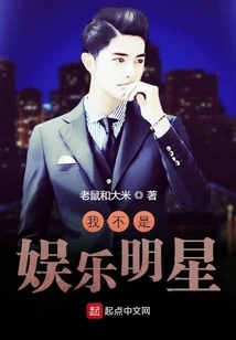 I'm Not an Entertainment Star