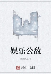 Entertainment Public Enemy