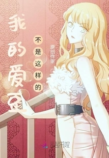 My Idol is Not Like This