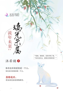 Time Has Not Come Yet, the Glass Light Has Not yet Belonged