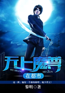 The Supreme Demon Lord is in the City