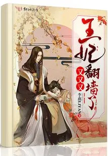 The Princess Climbed over the Wall Again