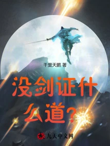 What is the Tao Without Sword Certification?