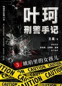 Detective Ye Ke's Notes 3: the Girl in Amber
