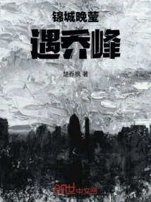 Jincheng Wanying Meets Qiao Feng