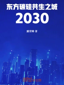 Oriental Carbon-silicon Symbiosis City 2030