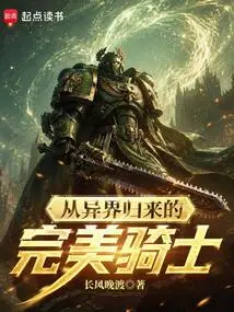 The Perfect Knight Returned from Another World