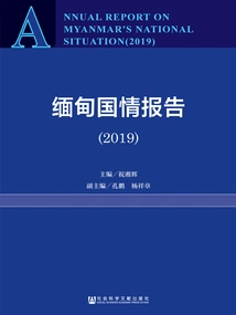Myanmar Country Report (2019)