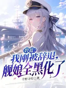 Bilan: I Just Got Fired, and All the Shipgirls Turned Black