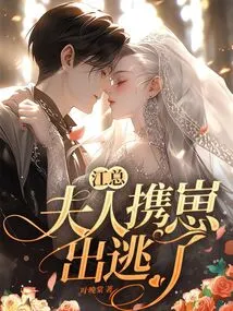 Mr. Jiang, My Wife Ran Away with Her Baby